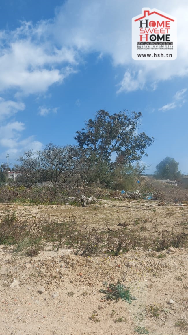 La Marsa Gammart Terrain Terrain nu Terrain villa arenal  gammarth