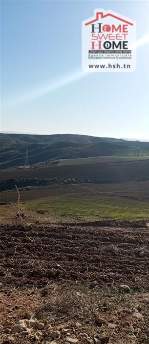 Beja Nord Beja Terrain Terrain agricole Terrain agricole agros  bja