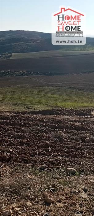 Beja Nord Beja Terrain Terrain agricole Terrain agricole agros  bja