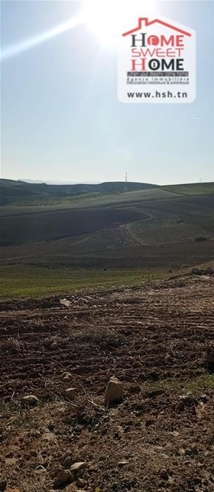 Beja Nord Beja Terrain Terrain agricole Terrain agricole agros  bja