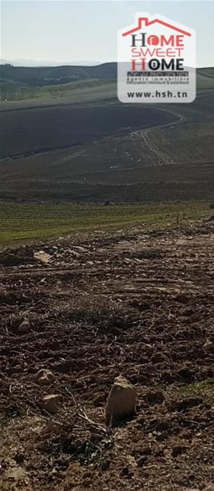 Beja Nord Beja Terrain Terrain agricole Terrain agricole agros  bja