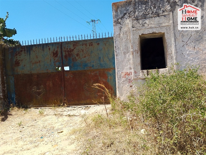 Menzel Bouzelfa Menzel Bouzelfa Terrain Terrain agricole Terrain agricole sarand  menzel bouzalfa