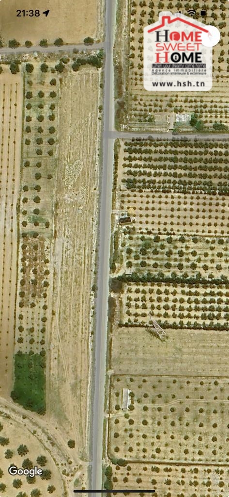 Hammamet Barraket Essahel Terrain Terrain agricole Terrain agricole adley  bouficha