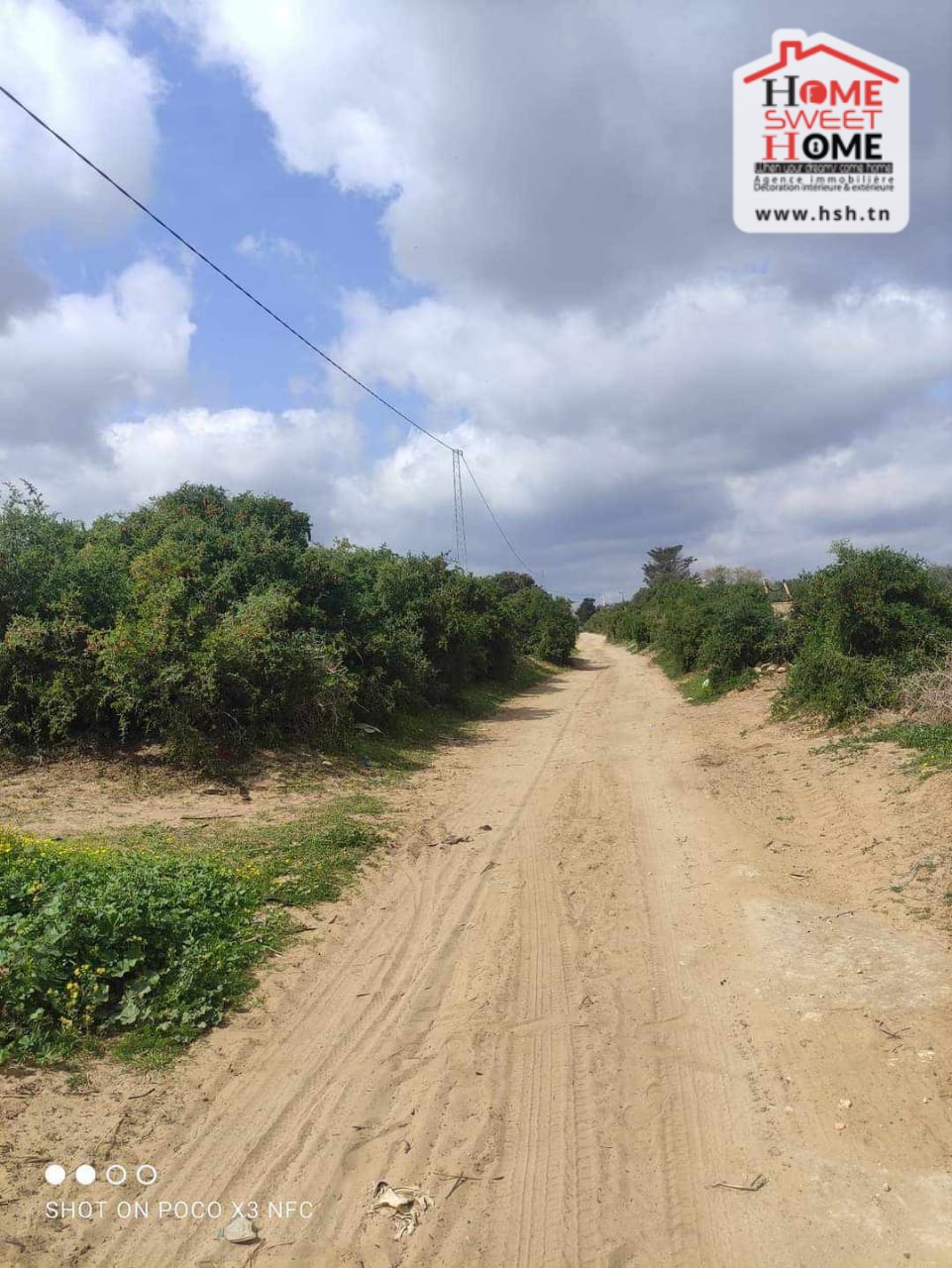 Kelibia Kelibia Terrain Terrain nu Terrain habitation flora  sidi mansour klibia