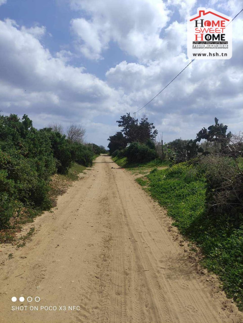 Kelibia Kelibia Terrain Terrain nu Terrain habitation flora  sidi mansour klibia