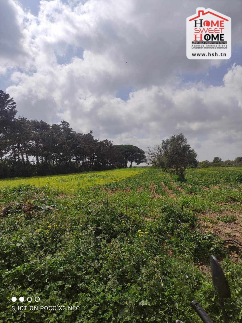 Kelibia Kelibia Terrain Terrain nu Terrain habitation flora  sidi mansour klibia