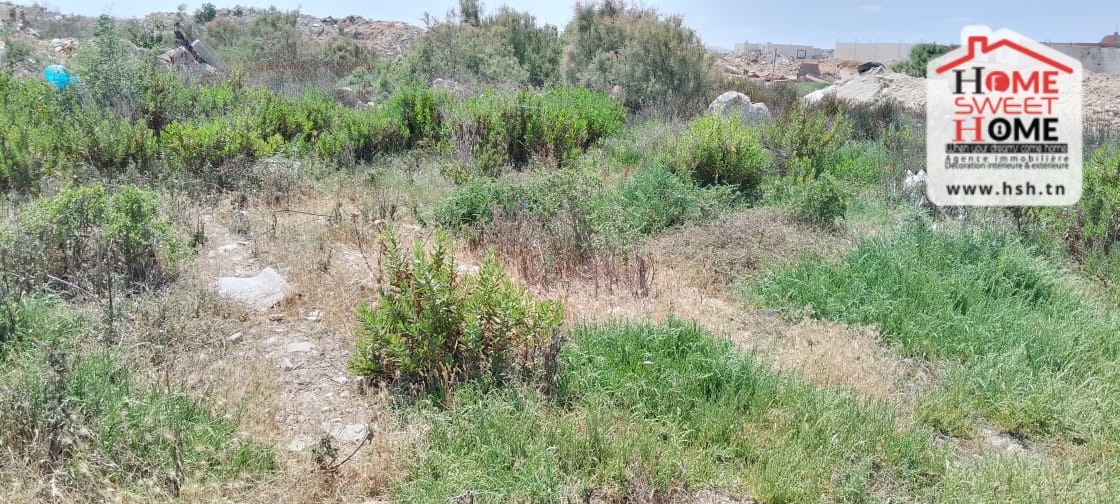 La Marsa Marsa Safsaf Terrain Terrain nu Terrain villa raseef  cit el habib la marsa