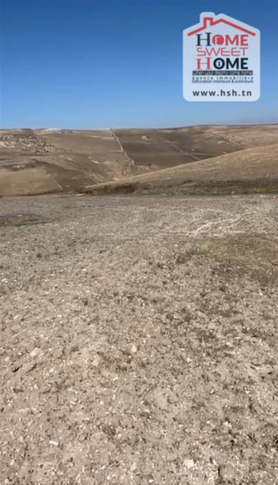 Teboursouk Teboursouk Terrain Terrain agricole Terrain agricole valterra  tboursouk