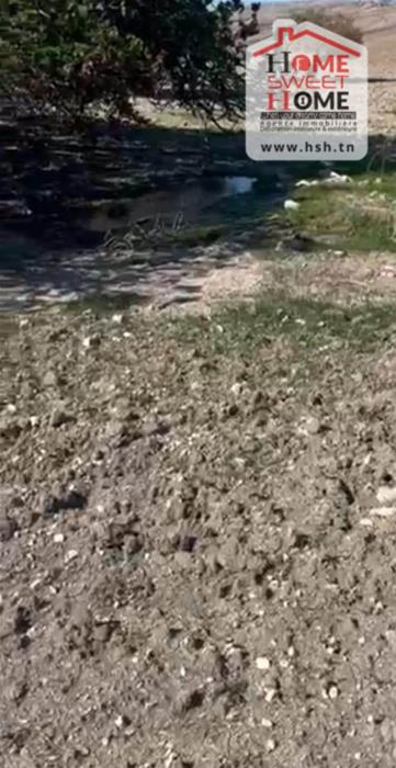 Teboursouk Teboursouk Terrain Terrain agricole Terrain agricole valterra  tboursouk