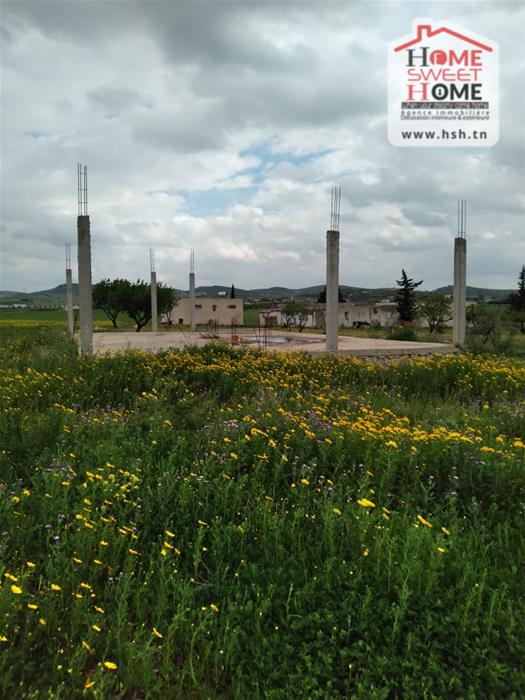 Mannouba La Mannouba Terrain Terrain agricole Terrain agricole arva  borj el amri