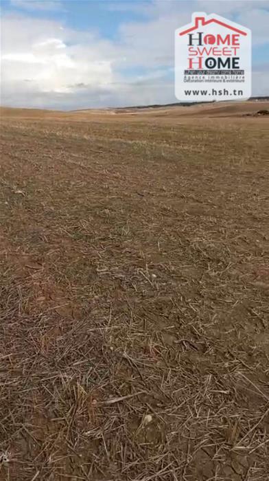 Mejez El Bab Mejez El Bab Terrain Terrain agricole Terrain agricole valora  mjez el beb