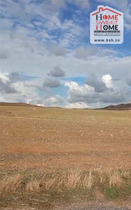 Mejez El Bab Mejez El Bab Terrain Terrain agricole Terrain agricole valora  mjez el beb