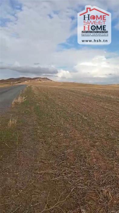 Mejez El Bab Mejez El Bab Terrain Terrain agricole Terrain agricole valora  mjez el beb