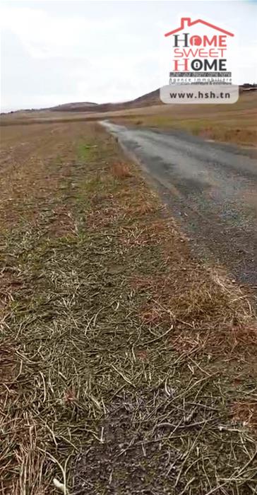 Mejez El Bab Mejez El Bab Terrain Terrain agricole Terrain agricole valora  mjez el beb