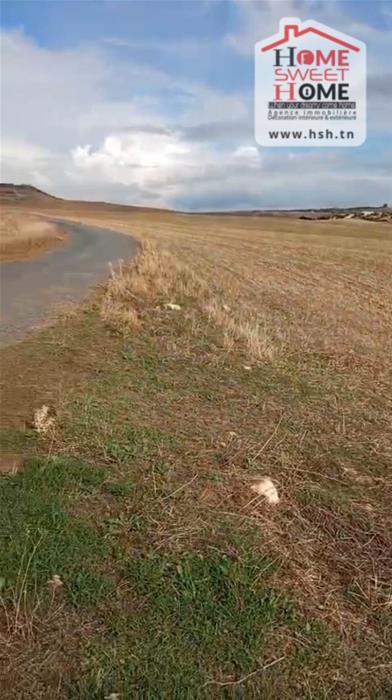 Mejez El Bab Mejez El Bab Terrain Terrain agricole Terrain agricole valora  mjez el beb