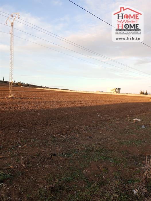 Mejez El Bab Mejez El Bab Terrain Terrain agricole Terrain agricole amandor  mjez el beb