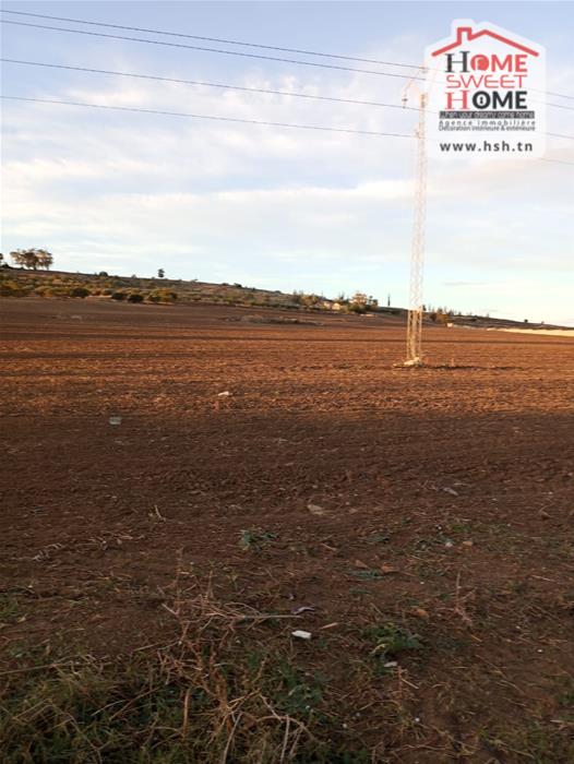 Mejez El Bab Mejez El Bab Terrain Terrain agricole Terrain agricole amandor  mjez el beb