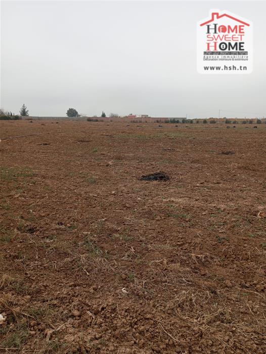 Mejez El Bab Mejez El Bab Terrain Terrain agricole Terrain agricole prestine  mjez el beb