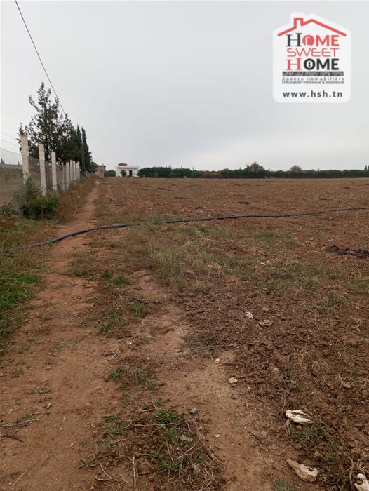 Mejez El Bab Mejez El Bab Terrain Terrain agricole Terrain agricole prestine  mjez el beb