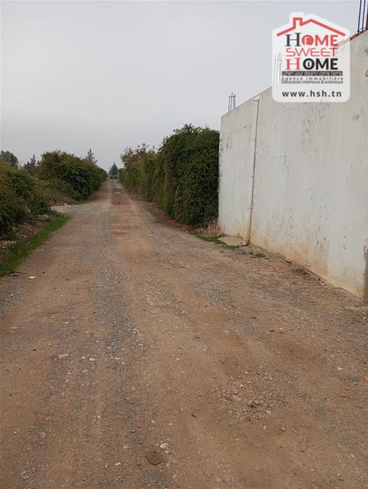 Mejez El Bab Mejez El Bab Terrain Terrain agricole Terrain agricole prestine  mjez el beb