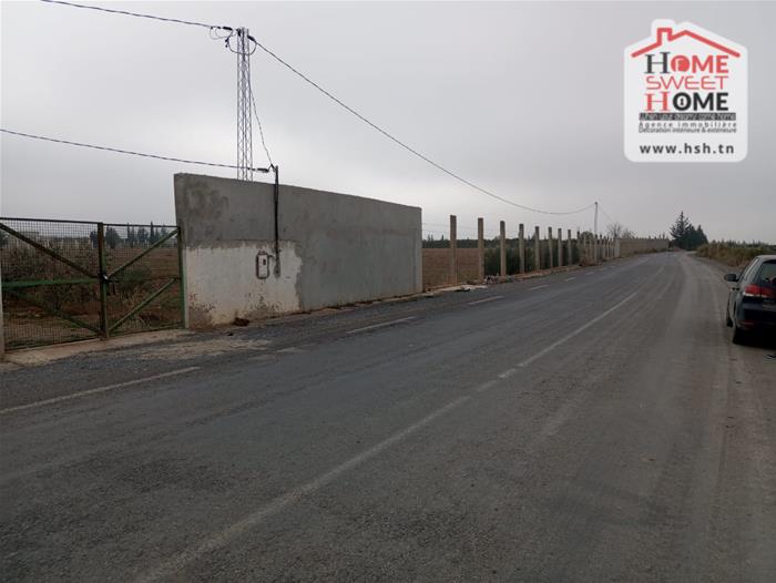 Mejez El Bab Mejez El Bab Terrain Terrain agricole Terrain agricole prestine  mjez el beb