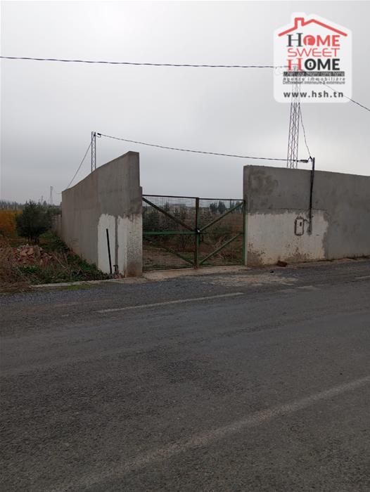 Mejez El Bab Mejez El Bab Terrain Terrain agricole Terrain agricole prestine  mjez el beb