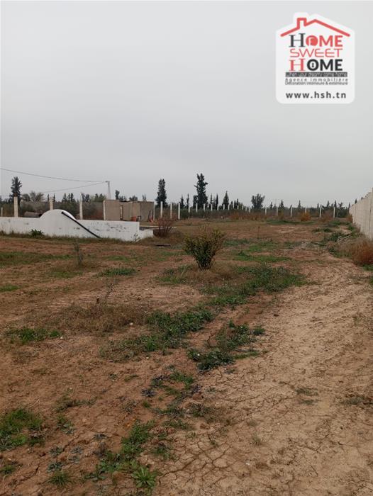 Mejez El Bab Mejez El Bab Terrain Terrain agricole Terrain agricole agrumia  mjez el beb