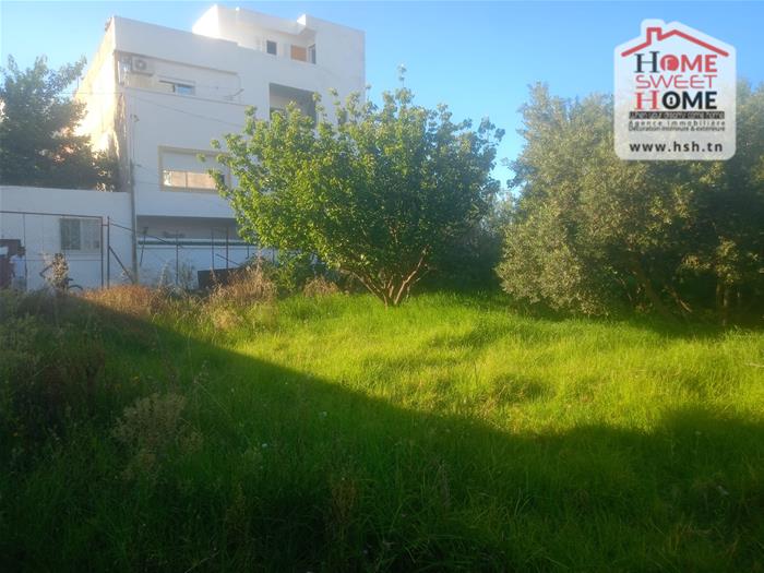 La Marsa Marsa Ennassim Terrain Terrain nu Terrain promoteur souka  la marsa