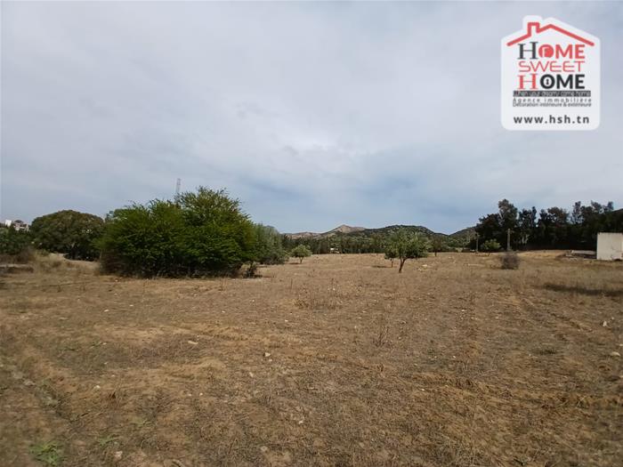 Mornag&nbsp;Mornag&nbsp;Terrain&nbsp;Terrain agricole&nbsp;Terrain agricole morel � mornag