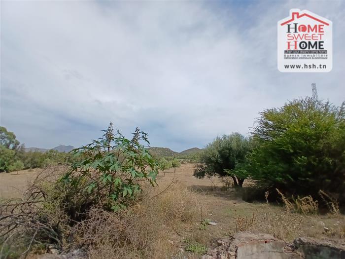 Mornag&nbsp;Mornag&nbsp;Terrain&nbsp;Terrain agricole&nbsp;Terrain agricole morel � mornag