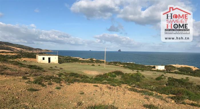 Bizerte Nord&nbsp;Bizerte&nbsp;Terrain&nbsp;Terrain nu&nbsp;Terrain villa onda � kef abbed bizerte