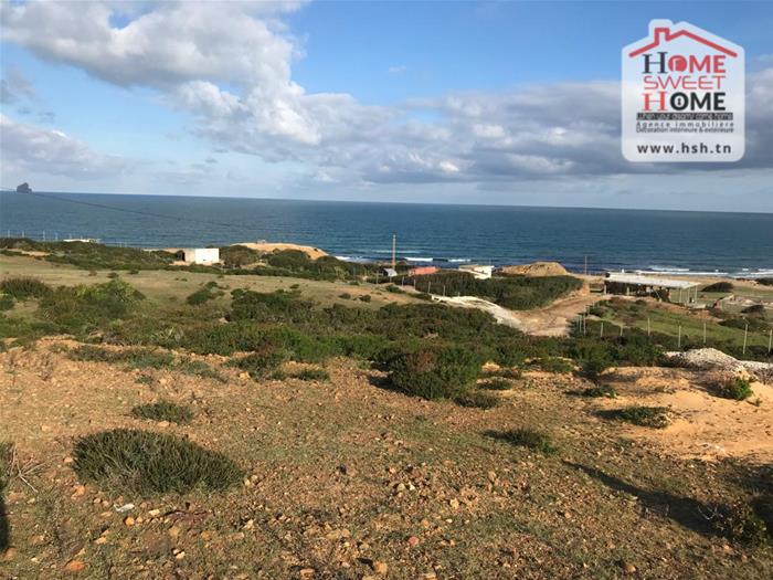 Bizerte Nord&nbsp;Bizerte&nbsp;Terrain&nbsp;Terrain nu&nbsp;Terrain villa onda � kef abbed bizerte