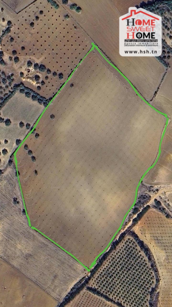 Bizerte Nord&nbsp;Bizerte&nbsp;Terrain&nbsp;Terrain agricole&nbsp;Terrain agricole felix � el alia bizerte