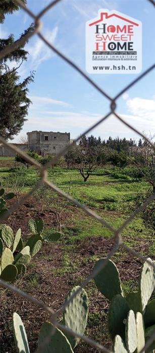 Mornaguia&nbsp;Mornaguia&nbsp;Terrain&nbsp;Terrain agricole&nbsp;Terrain agricole nectar � mornaguia