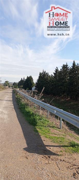 Mornaguia&nbsp;Mornaguia&nbsp;Terrain&nbsp;Terrain agricole&nbsp;Terrain agricole nectar � mornaguia