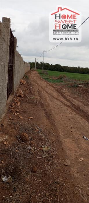 Borj El Amri&nbsp;Borj El Amri&nbsp;Terrain&nbsp;Terrain agricole&nbsp;Terrain agricole zoliva � borj el amri