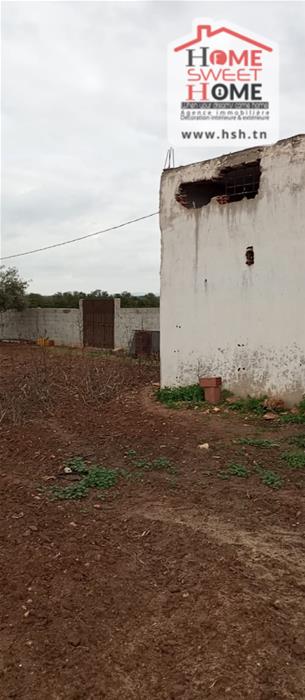 Borj El Amri&nbsp;Borj El Amri&nbsp;Terrain&nbsp;Terrain agricole&nbsp;Terrain agricole zoliva � borj el amri