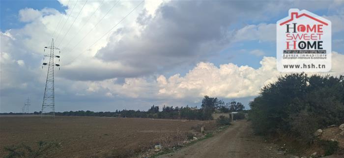 Grombalia&nbsp;Grombalia&nbsp;Terrain&nbsp;Terrain agricole&nbsp;Terrain agricole sassina � grombalia