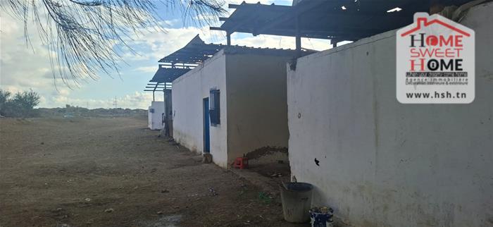 Grombalia&nbsp;Grombalia&nbsp;Terrain&nbsp;Terrain agricole&nbsp;Terrain agricole sassina � grombalia