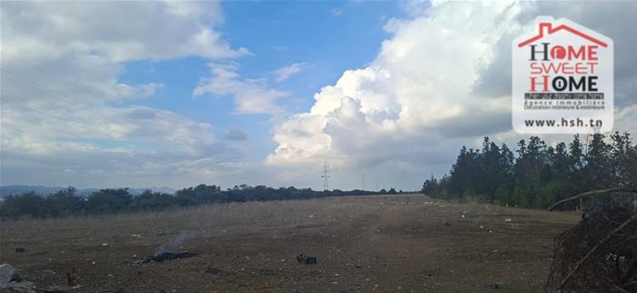 Grombalia&nbsp;Grombalia&nbsp;Terrain&nbsp;Terrain agricole&nbsp;Terrain agricole sassina � grombalia