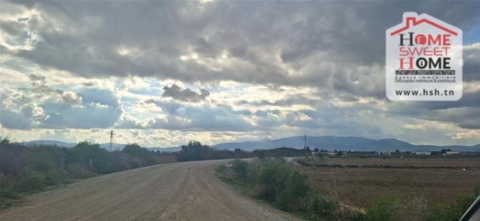 Grombalia&nbsp;Grombalia&nbsp;Terrain&nbsp;Terrain agricole&nbsp;Terrain agricole sassina � grombalia