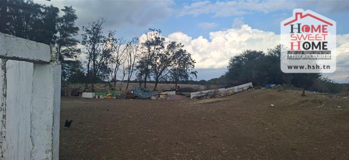 Grombalia&nbsp;Grombalia&nbsp;Terrain&nbsp;Terrain agricole&nbsp;Terrain agricole sassina � grombalia