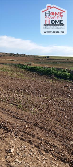 Mejez El Bab&nbsp;Mejez El Bab&nbsp;Terrain&nbsp;Terrain agricole&nbsp;Terrain agricole viridis � mjez el beb