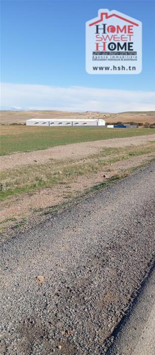 Mejez El Bab&nbsp;Mejez El Bab&nbsp;Terrain&nbsp;Terrain agricole&nbsp;Terrain agricole sylvara � mjez el beb