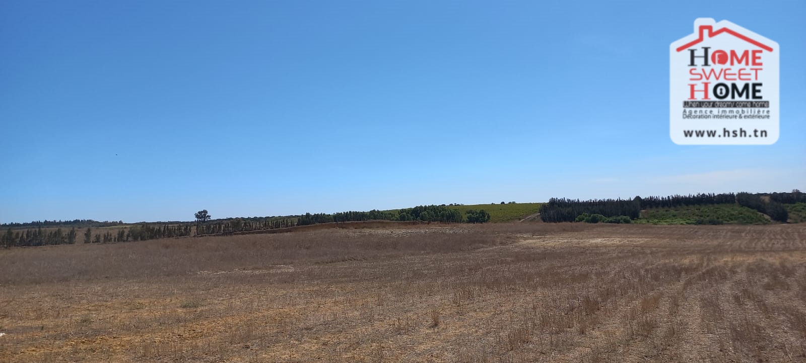 Nabeul&nbsp;Nabeul&nbsp;Terrain&nbsp;Terrain agricole&nbsp;Terrain agricole valy � nabeul