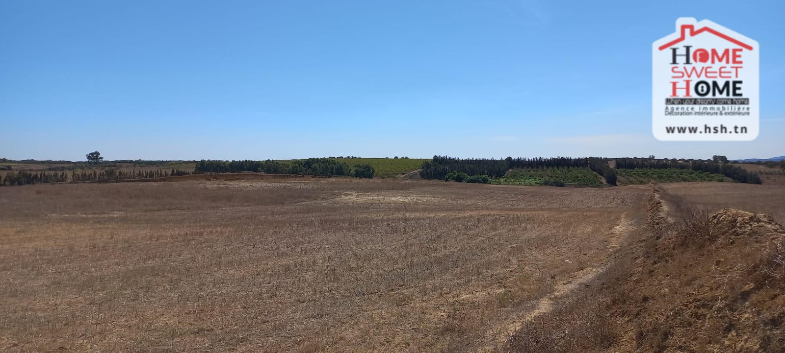 Nabeul&nbsp;Nabeul&nbsp;Terrain&nbsp;Terrain agricole&nbsp;Terrain agricole valy � nabeul