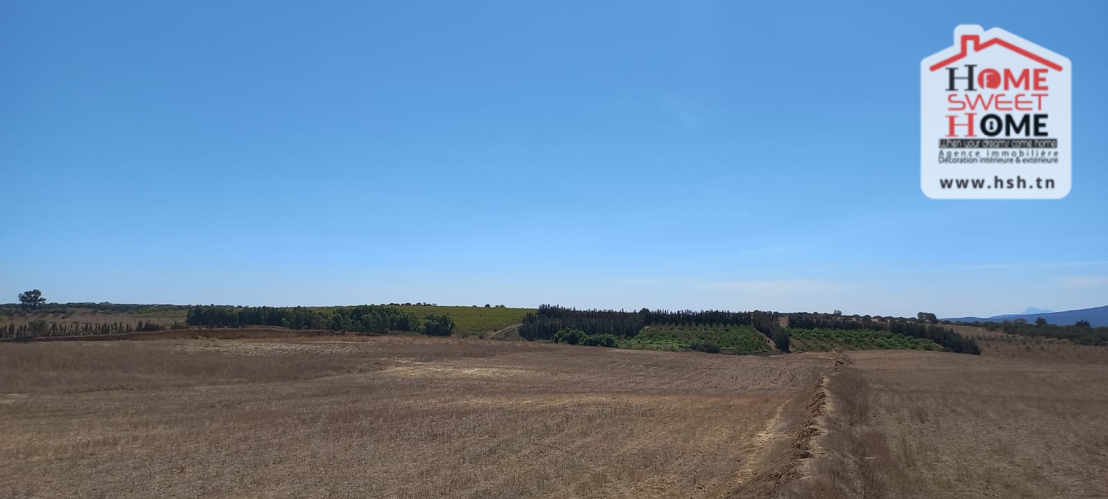 Nabeul&nbsp;Nabeul&nbsp;Terrain&nbsp;Terrain agricole&nbsp;Terrain agricole valy � nabeul