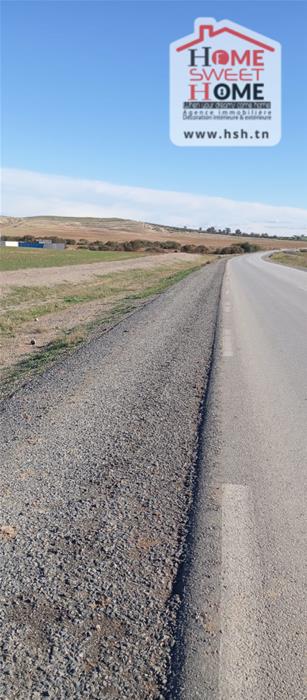 Mejez El Bab&nbsp;Mejez El Bab&nbsp;Terrain&nbsp;Terrain agricole&nbsp;Terrain agricole ardena � mjez el beb