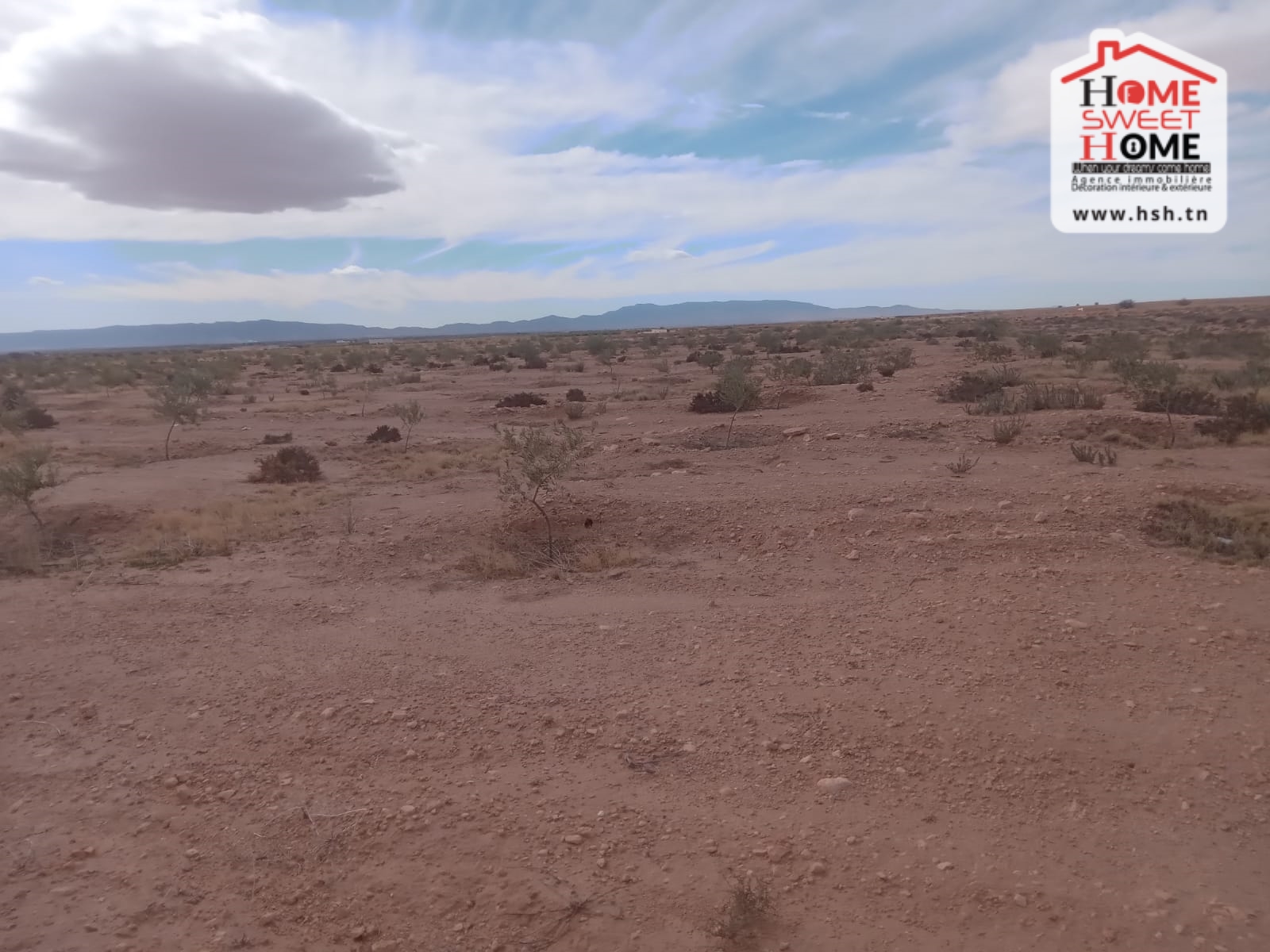 Sidi Aich&nbsp;Sidi Aich&nbsp;Terrain&nbsp;Terrain agricole&nbsp;Terrain agricole adan � sidi aich