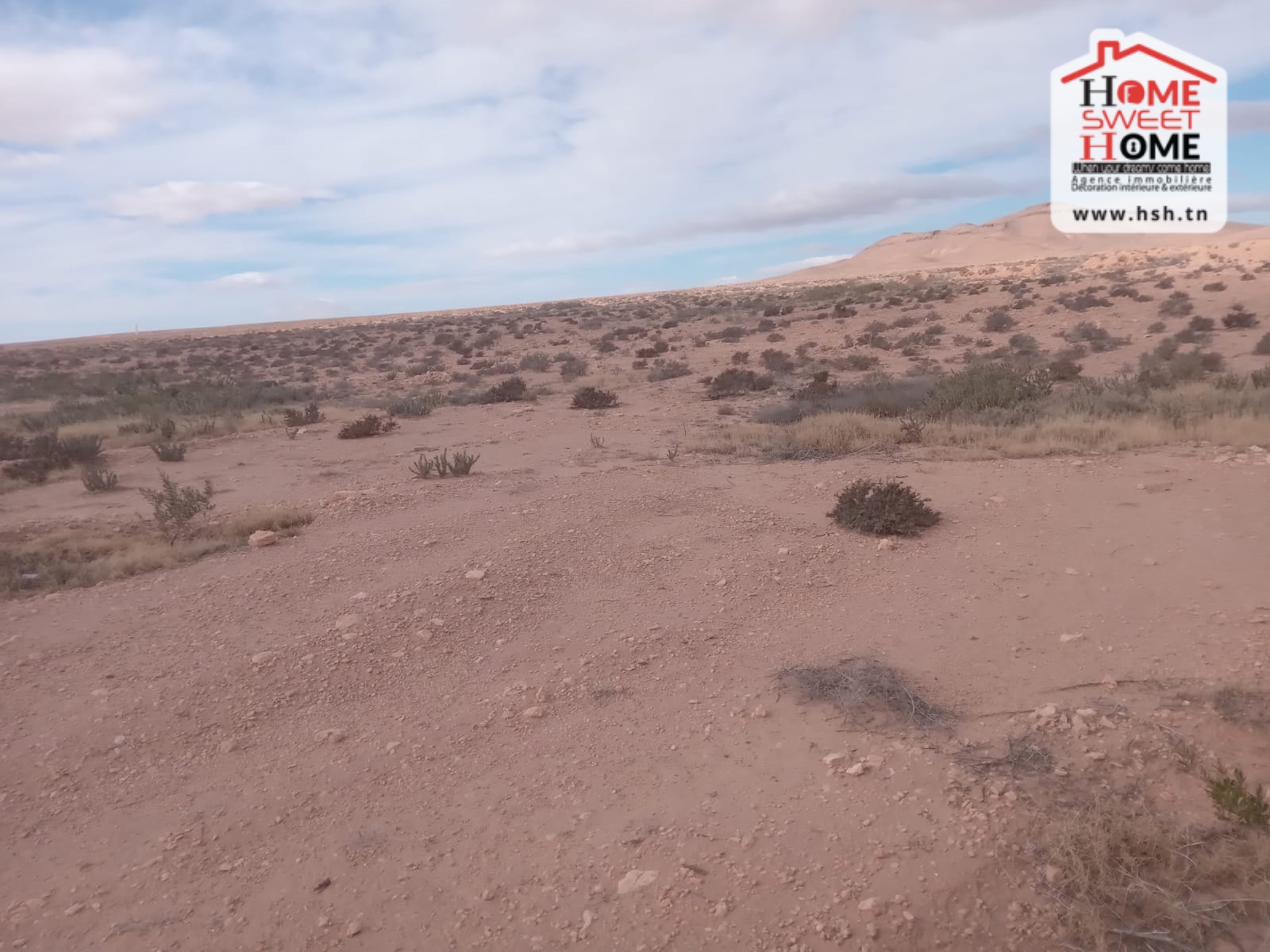 Sidi Aich&nbsp;Sidi Aich&nbsp;Terrain&nbsp;Terrain agricole&nbsp;Terrain agricole adan � sidi aich